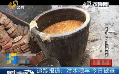 养殖户用泔水喂羊 饲料颗粒机提供营养健康好饲料 养殖户用泔水喂羊 饲料颗粒机提供营养健康好饲料
