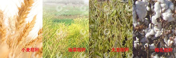 小麦秸秆、油菜秸秆、大豆秸秆、棉花秸秆 小麦秸秆、油菜秸秆、大豆秸秆、棉花秸秆