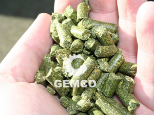 青草颗粒 青草颗粒
